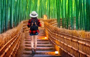 VACANCES ÉTÉ 2020 : JAPON